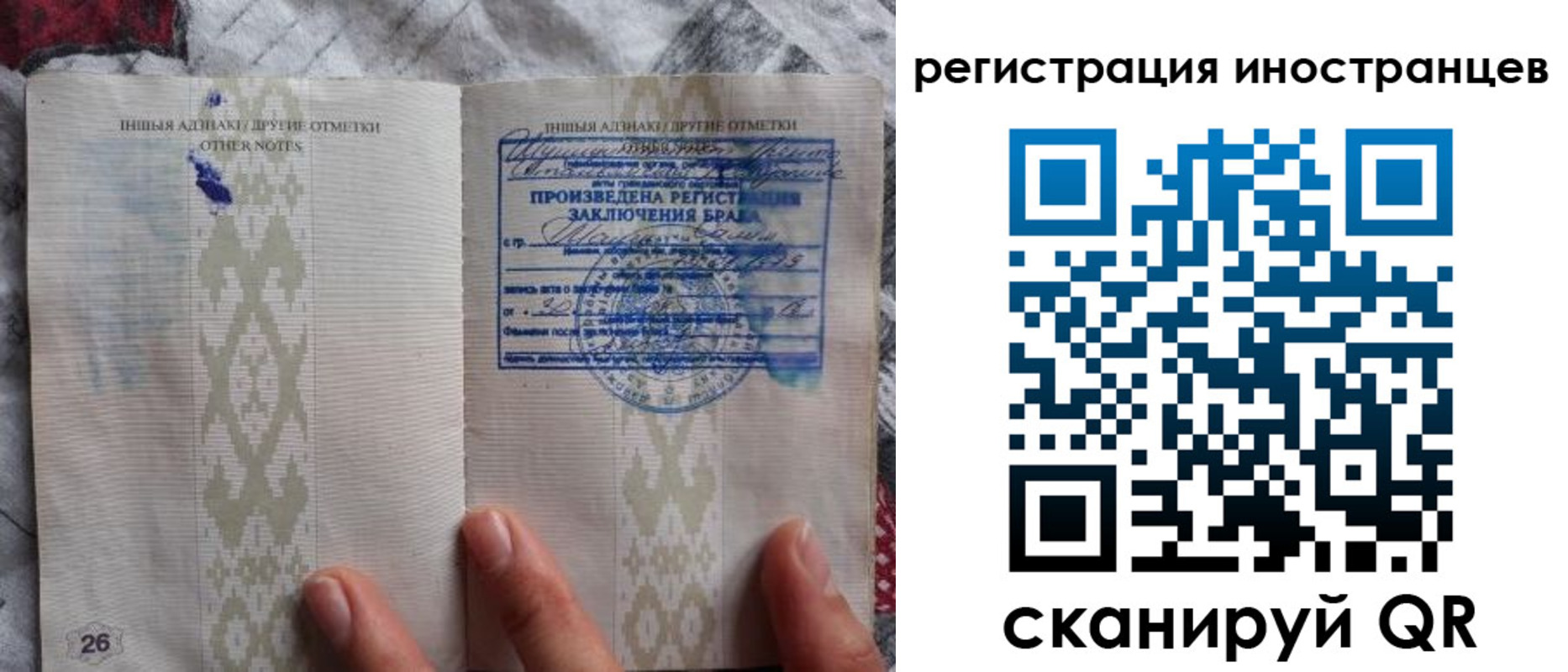 прописка для школы в Мурино