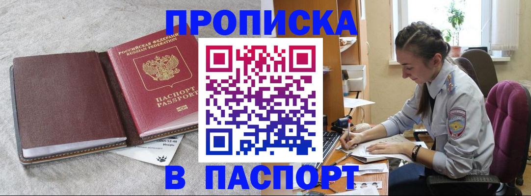 где прописаться в Мурино
